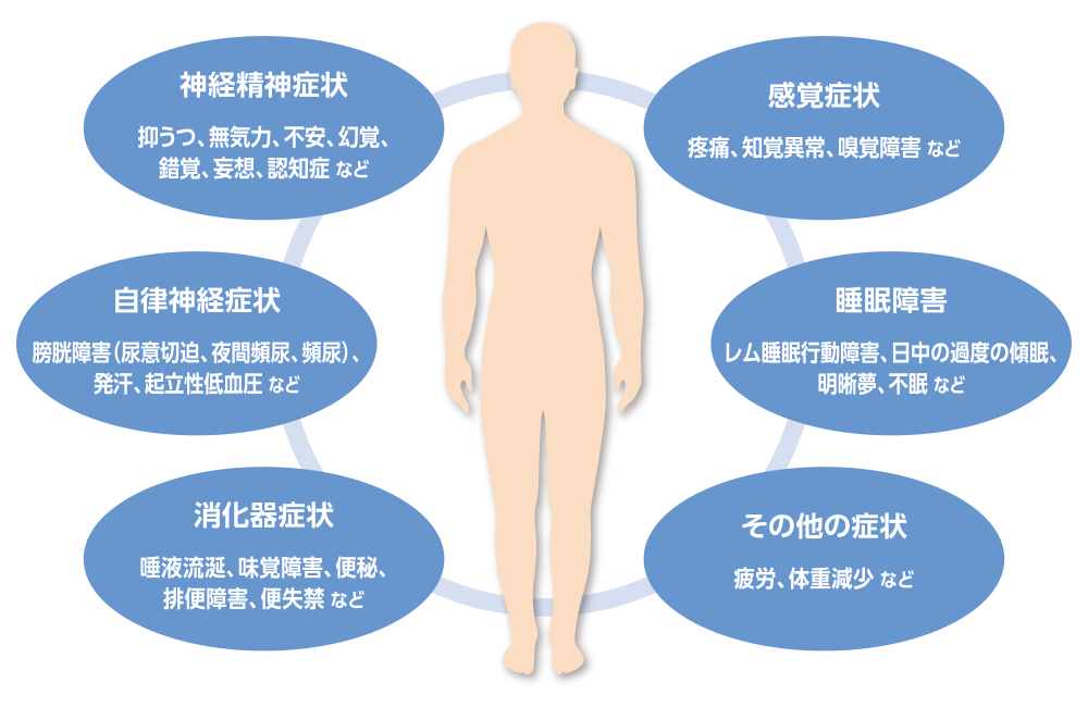 図解/神経精神症状（抑うつ、無気力、不安、幻覚、 錯覚、妄想、認知症 など）、自律神経症状（膀胱障害（尿意切迫、夜間頻尿、頻尿）、 発汗、起立性低血圧 など）、消化器症状（唾液流涎、味覚障害、便秘、排便障害、便失禁 など）、感覚症状（疼痛、知覚異常、嗅覚障害 など）、睡眠障害（レム睡眠行動障害、日中の過度の傾眠、明晰夢、不眠 など）、その他の症状（疲労、体重減少 など）