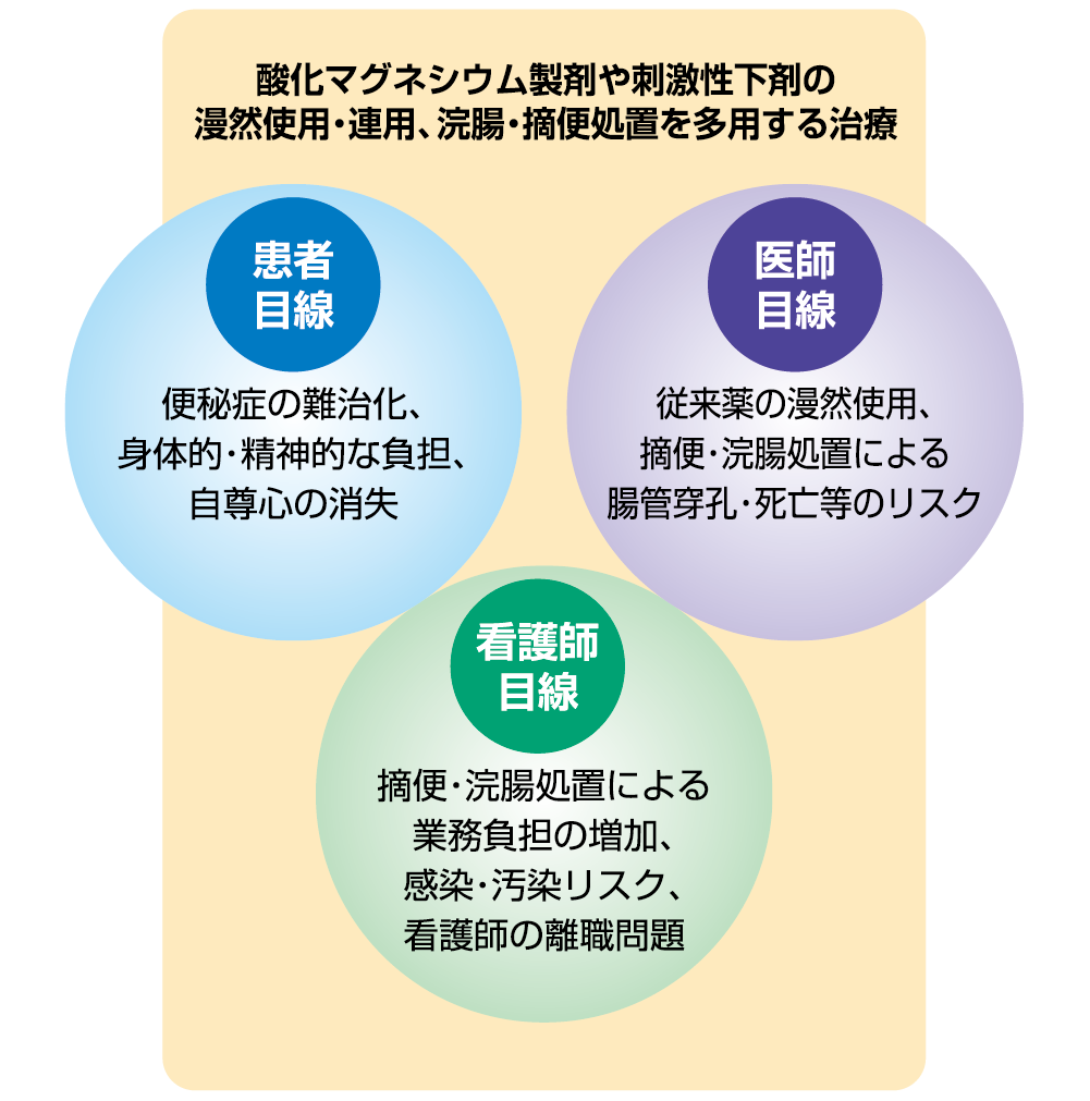 酸化マグネシウム製剤や刺激性下剤の漫然使用・連用、浣腸・摘便処置を多用する治療／患者目線（便秘症の難治化、身体的・精神的な負担、自尊心の消失）医師目線（従来薬の漫然使用、摘便・浣腸処置による腸管穿孔・死亡等のリスク）看護師目線（摘便・浣腸処置による業務負担の増加、感染・汚染リスク、看護師の離職問題）