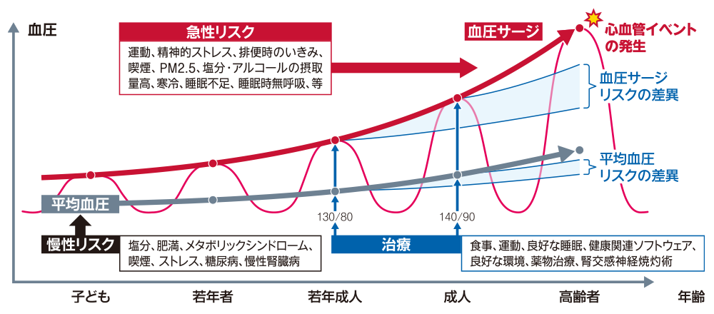 グラフ/縦軸が血圧、横軸が年齢（子ども、若年者、若年成人、成人、高齢者）