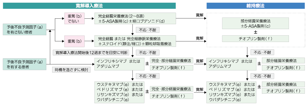 フローチャート：寛解導入療法、維持療法